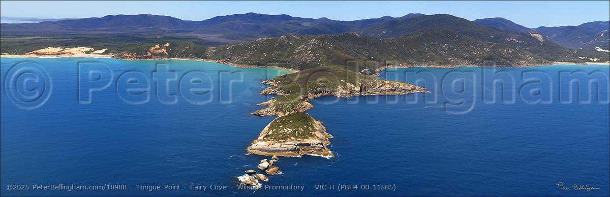 Peter Bellingham Photography Tongue Point - Fairy Cove - Wilsons Promontory - VIC H (PBH4 00 11585)